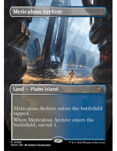Meticulous Archive - Foil