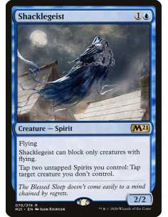Shacklegeist - Foil