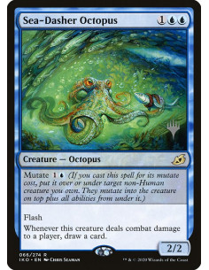Sea-Dasher Octopus