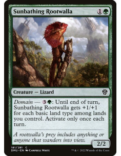 Sunbathing Rootwalla