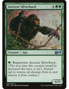 Ancient Silverback
