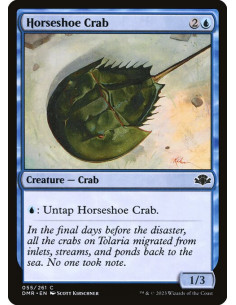 Horseshoe Crab