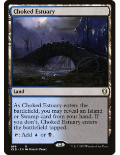Choked Estuary