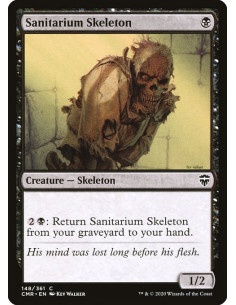 Sanitarium Skeleton