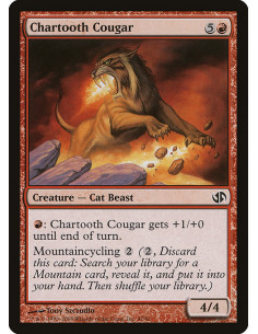 Chartooth Cougar