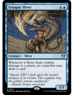 Synapse Sliver