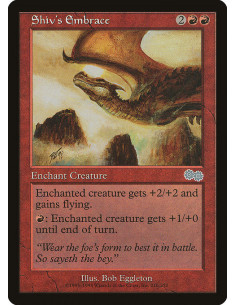 Shiv's Embrace