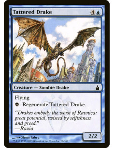 Tattered Drake - Foil
