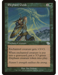 Elephant Guide - Foil
