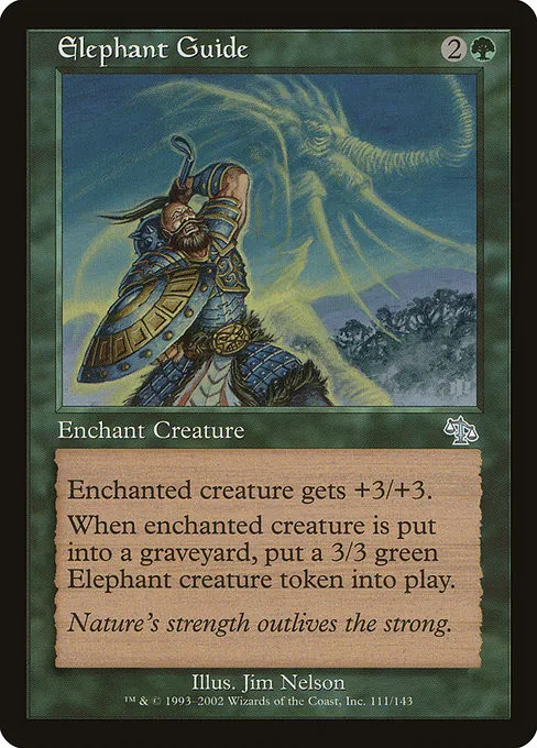 Elephant Guide - Foil