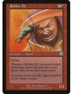 Robber Fly - Foil