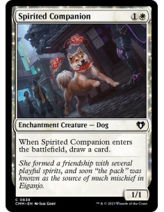 Spirited Companion