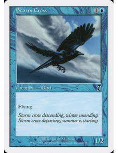 Storm Crow