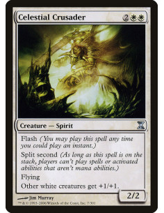 Celestial Crusader