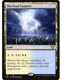 Skycloud Expanse