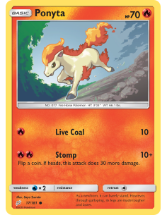 Ponyta