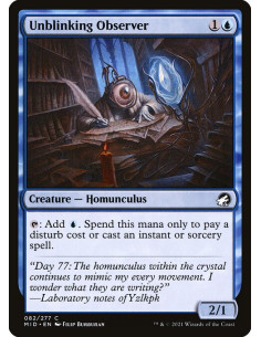 Unblinking Observer