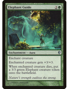 Elephant Guide - Foil