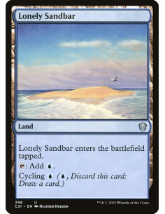 Lonely Sandbar