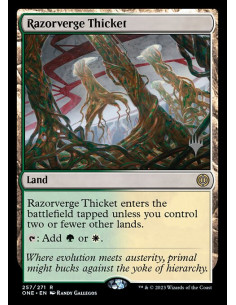 Razorverge Thicket - Foil