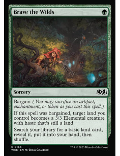 Brave the Wilds