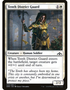 Tenth District Guard
