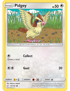 Pidgey