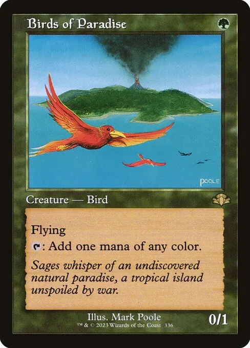 Birds of Paradise - Foil