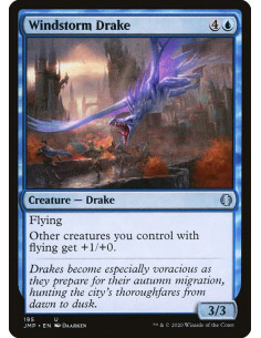 Windstorm Drake