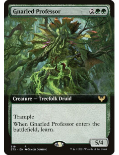 Gnarled Professor