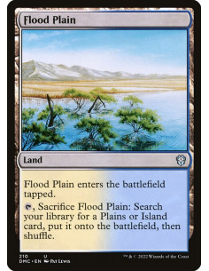 Flood Plain