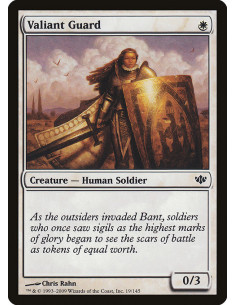Valiant Guard