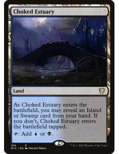 Choked Estuary