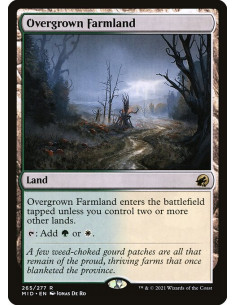 Overgrown Farmland - Foil