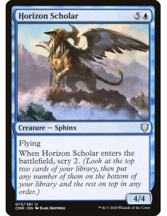Horizon Scholar