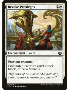 Revoke Privileges - Foil