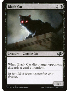 Black Cat