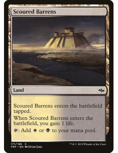 Scoured Barrens - Foil